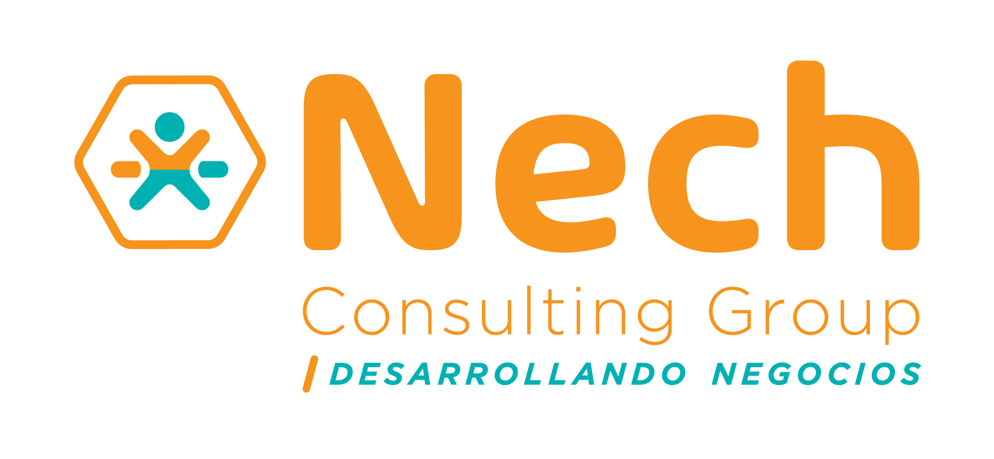 Negocio- Nech